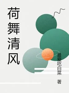 《荷舞清风》小说封面
