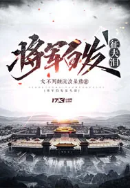 《将军白发征夫泪》小说封面