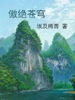 《傲绝苍穹》小说封面