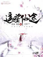 《遥望仙途》小说封面
