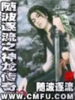 《随波逐流之神龙传奇》小说封面