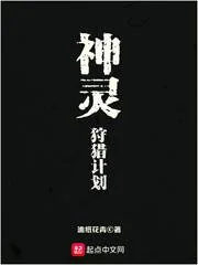 《神灵狩猎计划》小说封面
