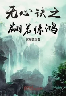 《无心诀之翩若惊鸿》小说封面