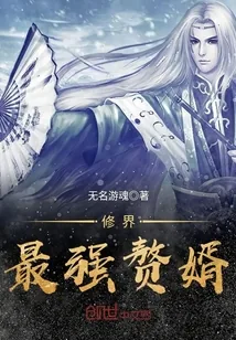 《修界最强赘婿》小说封面