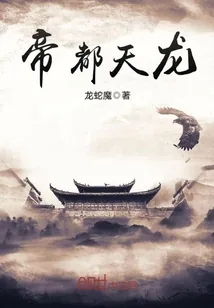 《帝都天龙》小说封面