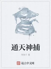 《通天神捕》小说封面