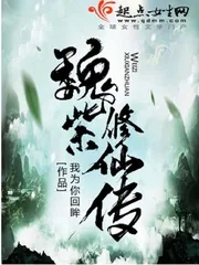 《魏紫修仙传》小说封面