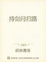 《持剑问归路》小说封面