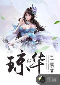《琼华》小说封面