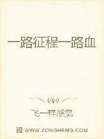 《一路征程一路血》小说封面