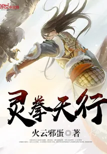 《灵拳天行》小说封面