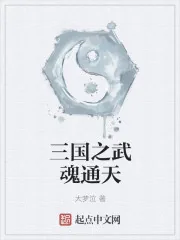 《三国之武魂通天》小说封面