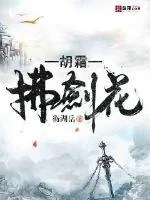 《胡霜拂剑花》小说封面