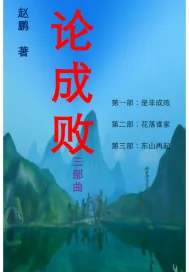《论成败》小说封面