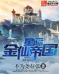 《星际金仙帝国》小说封面