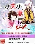 《小夫小妻小仙人》小说封面