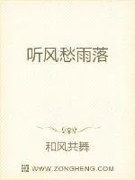 《听风愁雨落》小说封面