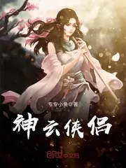 《神云侠侣》小说封面