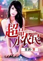 《超品小农民》小说封面