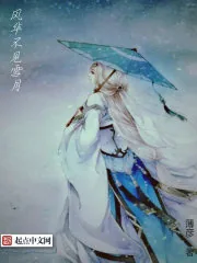 《风华不见雪月》小说封面