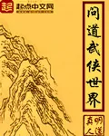 《问道武侠世界》小说封面