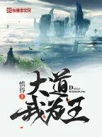 《大道我为王》小说封面