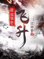 《谁也别想飞升》小说封面