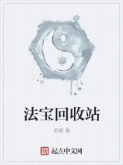 《法宝回收站》小说封面