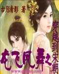 《龙飞凤舞之穿越到宋朝》小说封面