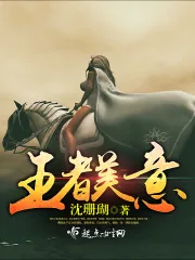 《王者美意》小说封面