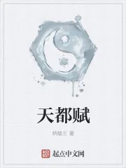 《天都赋》小说封面