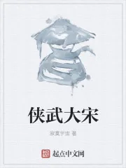 《侠武大宋》小说封面