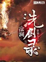 《沧澜洗剑录》小说封面