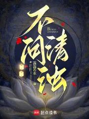 《不问清浊》小说封面