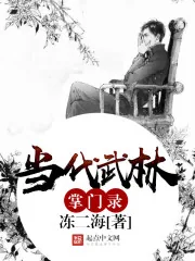 《当代武林掌门录》小说封面