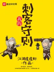 《我的刺客守则》小说封面