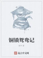 《铜锁鸳鸯记》小说封面