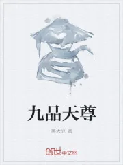 《九品天尊》小说封面