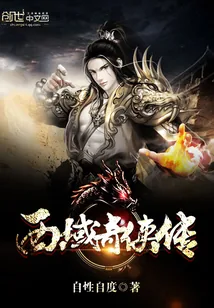 《西域奇侠传》小说封面