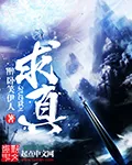《求真》小说封面