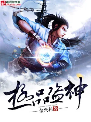 《极品盗神》小说封面