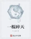 《一棍碎天》小说封面