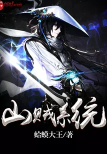 《我有一座山寨》小说封面