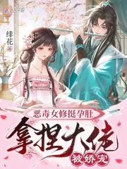 《恶毒女修挺孕肚，拿捏大佬被娇宠》小说封面