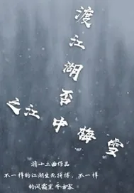 《渡江湖否之江中梅雪》小说封面
