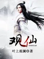 《观仙》小说封面
