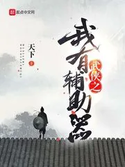 《武侠之我有辅助器》小说封面