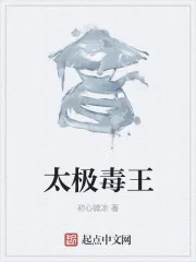 《太极毒王》小说封面