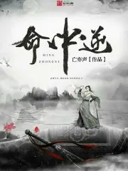 《命中逆》小说封面
