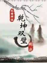 《乾坤双璧之纵横天下》小说封面